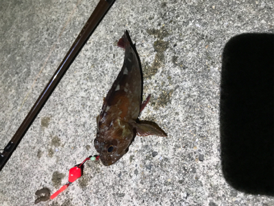 ポイント開拓！