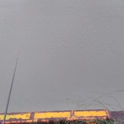 チヌ釣り　泥濁り