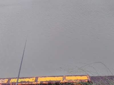 チヌ釣り　泥濁り