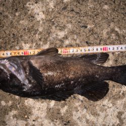 こんな場所でまさかの！？