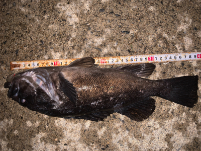 こんな場所でまさかの！？