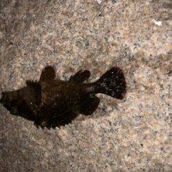 雨が降る前の釣行