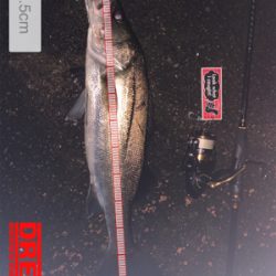 雨の止み間に…