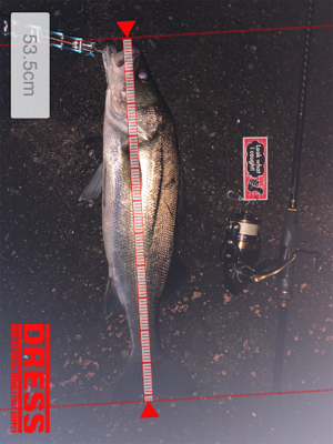 雨の止み間に…