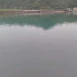 ルアーフィッシング