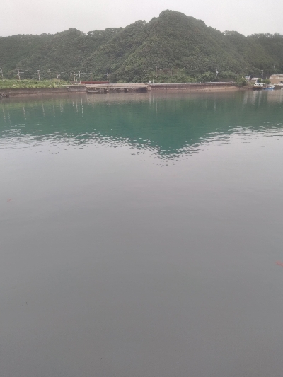 ルアーフィッシング