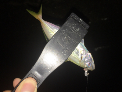 外道だらけのアジング