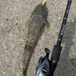 濁った紀ノ川で