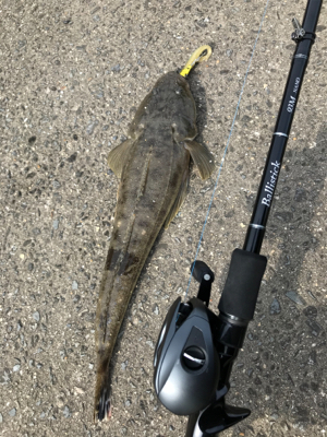 濁った紀ノ川で