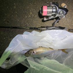 ガーグリップを忘れてしまった