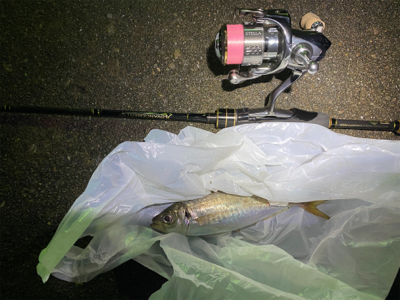 ガーグリップを忘れてしまった