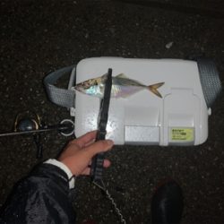 あっちも駄目で、こっちも駄目で…