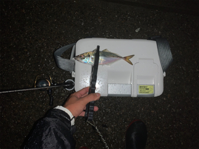 あっちも駄目で、こっちも駄目で…