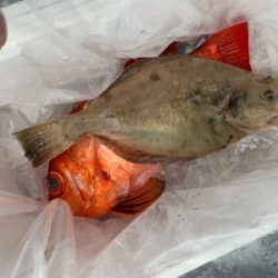 中深海ジギング