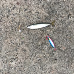 ショアジギング