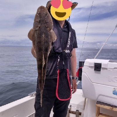 遊漁船SOUTH釣果