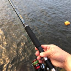 タコ調査6!大物バラシ(泣)泣