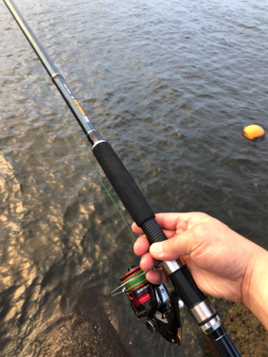 タコ調査6!大物バラシ(泣)泣