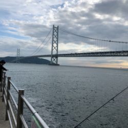 豆アジたくさん