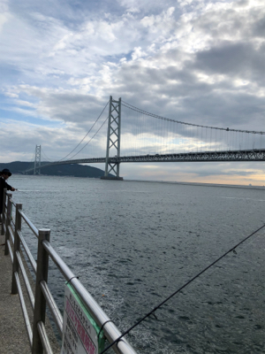 豆アジたくさん