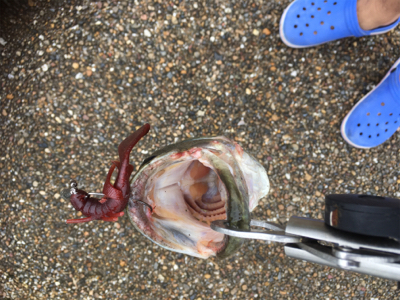 全開放流の琵琶湖