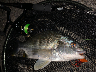 梅雨の晴れ間に