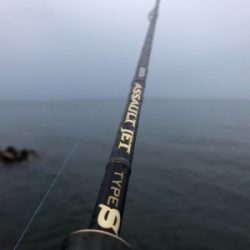 今年初　エギング