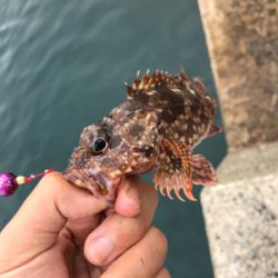 シーズンラストに来ました!