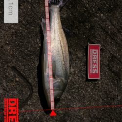 パターンなどない