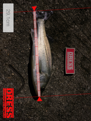 パターンなどない