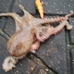 久しぶりの釣り。