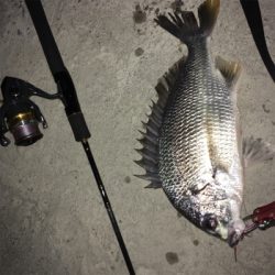 梅雨あけ、まだ?