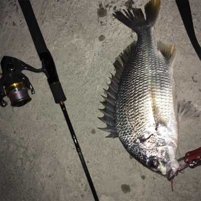梅雨あけ、まだ?