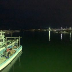 まさかのヒイカ?