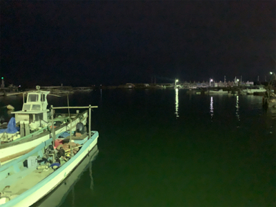 まさかのヒイカ?