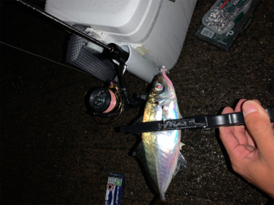 意外とクオリティが高い場所?!