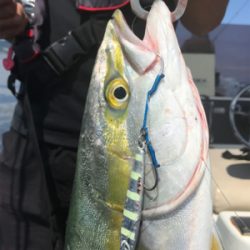 初挑戦のジギング