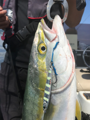 初挑戦のジギング