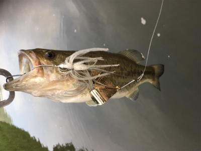 出るものらず。。。