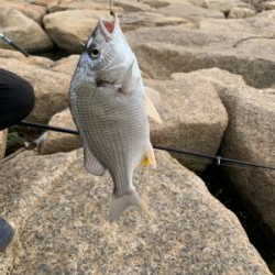 昼から夕方まで