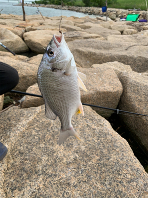 昼から夕方まで