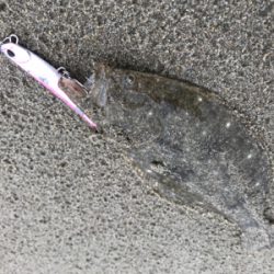 阿字ヶ浦サーフ攻略