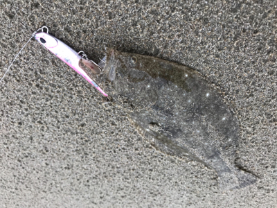 阿字ヶ浦サーフ攻略