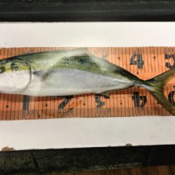 ショアジギング