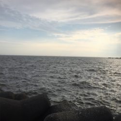 そろそろ終盤？