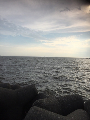 そろそろ終盤？