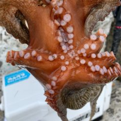 昨日よりマシかな?