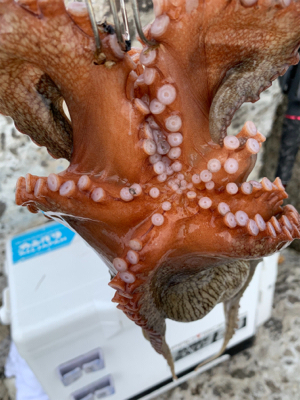 昨日よりマシかな?