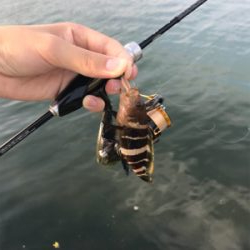 二ヶ月ぶりの釣り!