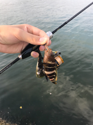 二ヶ月ぶりの釣り!